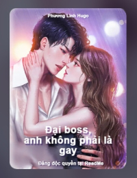 Đại Boss, Anh Không Phải Là Gay!