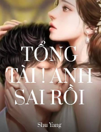 Tổng Tài ! Anh Sai Rồi - Mạc An Nhiên