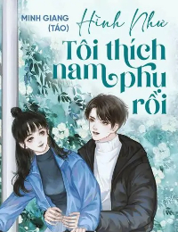 Hình Như Tôi Thích Nam Phụ Rồi