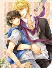 Anh Rể, Em Có Rồi (Anh Rể, Tôi Có Rồi!)