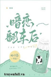 Truyện Sau Khi Yêu Thầm Bị Lật Xe - Bách Tây