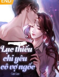 Lục Thiếu Chỉ Yêu Cô Vợ Ngốc - Diệp Tâm Ngữ