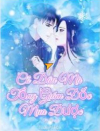 Cô Dâu Của Tổng Tài Mua Được - Lục Lương Triết